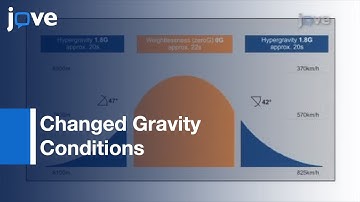 Coherence: Brain Cortical Function & Neurocognitive Performance l Protocol Preview