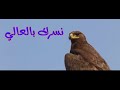نادي الكرامة نسرك بالعالي يا كرامة       نادي الكرامة