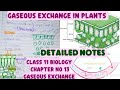 Gaseous exchange in plants|Class 11 biology|Chapter no 13|Gaseous exchange
