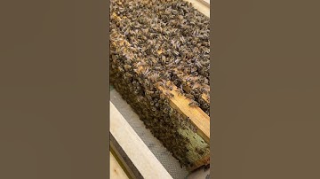 Nuc install 6/05/2023