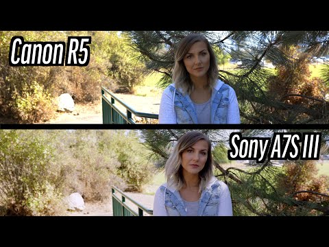 Canon R5 vs Sony A7S III Dynamic Range - IS R5 That Bad?