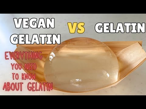 Everything you need to know about Gelatin and Vegan Gelatin~Gelatin, Agar-agar, carrageenan (EP214)