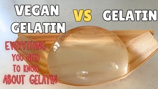 Everything you need to know about Gelatin and Vegan Gelatin~Gelatin, Agar-agar, Carrageenan (EP214)