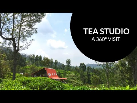 Exceptional new Drone footage of the Tea Studio