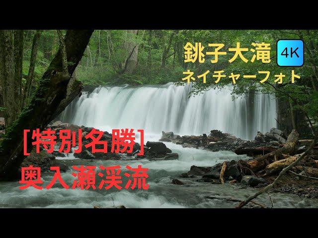 奥入瀬渓流（銚子大滝）風景写真 [4K] | Oirase Gorge [Choshi Otaki
