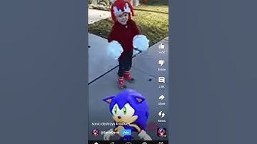 knuckles destroys sonic