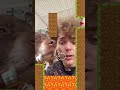 Scooby jugó conmigo al minecraft!
