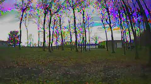 BabyHawk R - Treemageddon