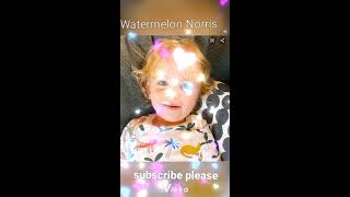 NORRIS NUTS EDIT norrisnuts watermelonnorris catchmeknuckles //Watermelon Norris.