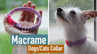 Tutorial Macrame Dogs/Cats Collar / Macrame Pets accessories