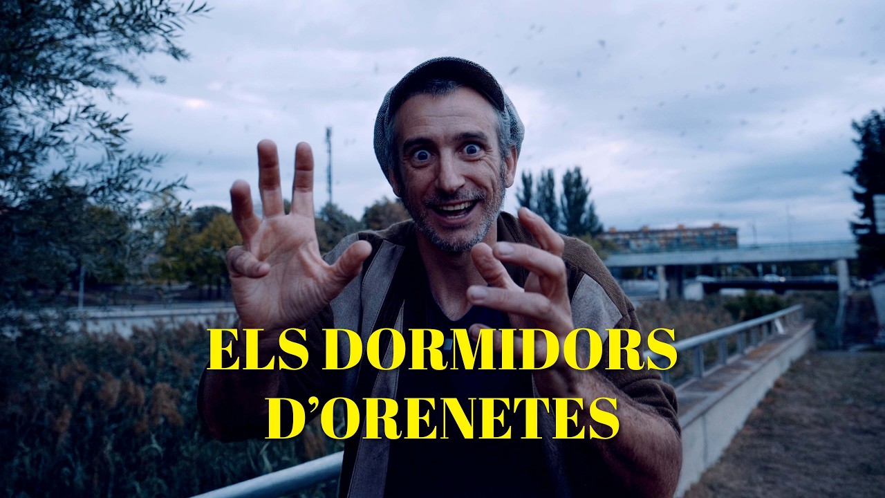 LES COSES QUE CREIXEN. Capítol 46.ELS DORMIDORS D'ORENETES