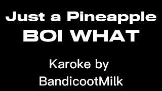 Download lagu BOI WHAT- Just a pineapple (Karaoke)