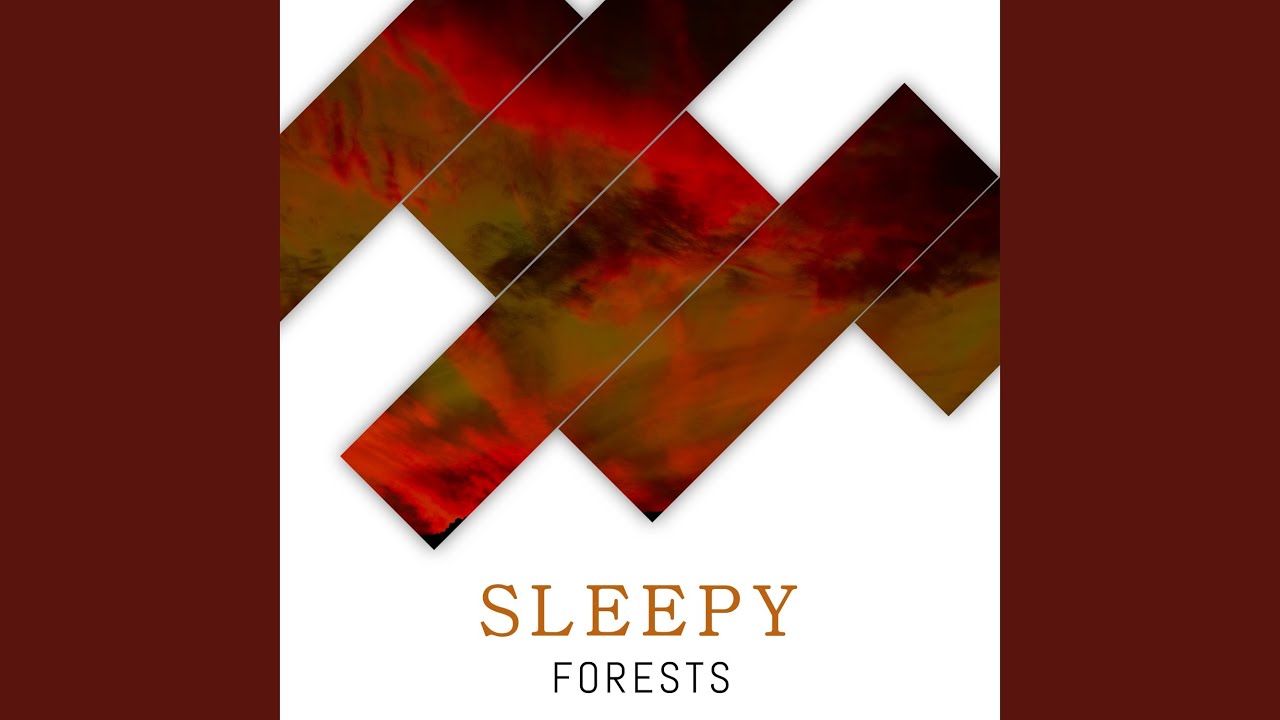 The Dawn Chorus YouTube