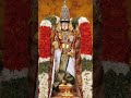 🙏 #tirumala #tirupathi #tirupatibalaji #venkateswaraswamy #venkateswara #tirumala #vaikunta #viral