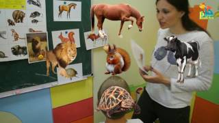 Песенки для детей - Животные - развивающая детская песенка - загадка для детей малышей