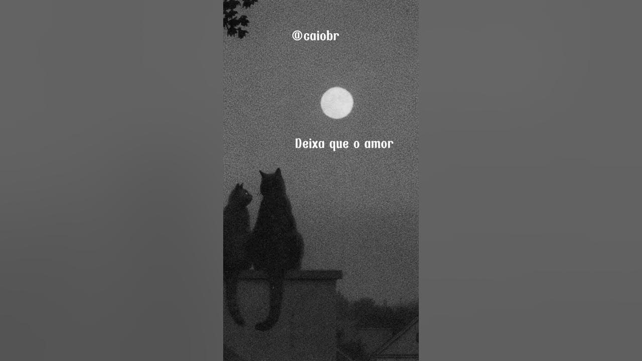 deixa acontecer naturalmente
