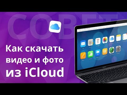 Видео: Как ускорить запуск Windows XP