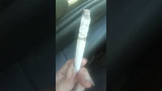 God ✝️ and me 🐺🙋(He ✝️ Calls ✝️ me wulf girl) and He ✝️ Gave ✝️ me a unicorn ✝️ 🦄 horn 📯