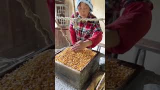 This is ancient watermill , most of the new generation never saw this .  #watermill #mill