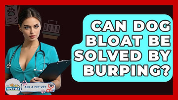 Can Dog Bloat Be Solved By Burping? - Ask A Pet Vet