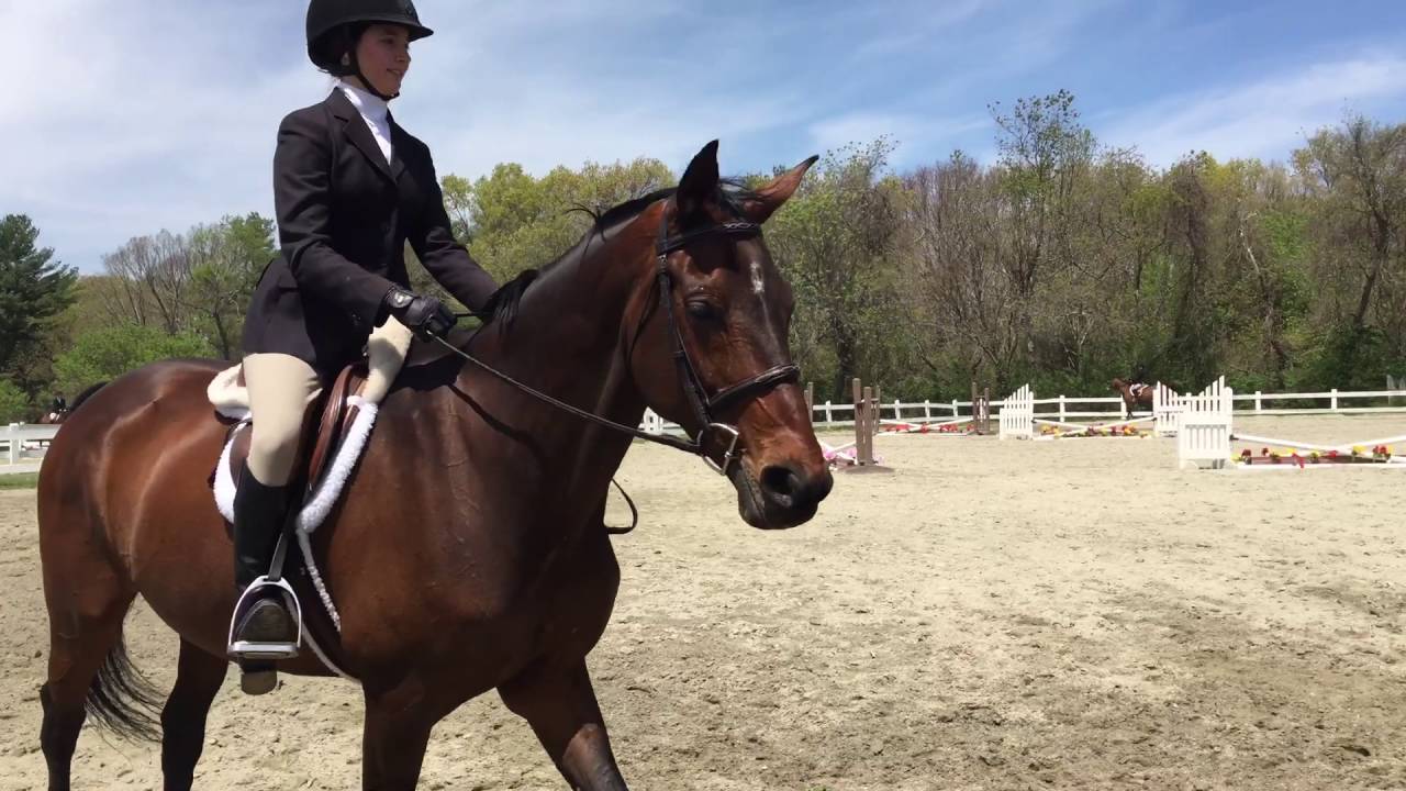 Long Stirrup Eq on the Flat