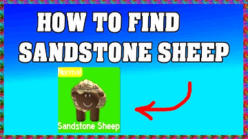How To Find SANDSTONE SHEEP in FIND THE SHEEP ROBLOX 🐑
