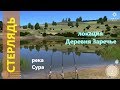 Русская рыбалка 4 - река Сура - Стерлядь