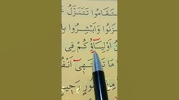 سورة فصلت الأية 30 إلى 32 بصوت سعد الغامدي