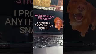 Why dogs make good influencers 🐶