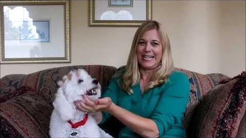 Welcome to Clear Path!