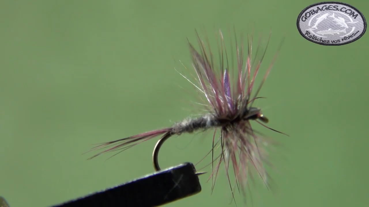 Montage d'une Adam's