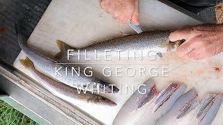How to clean King George Whiting