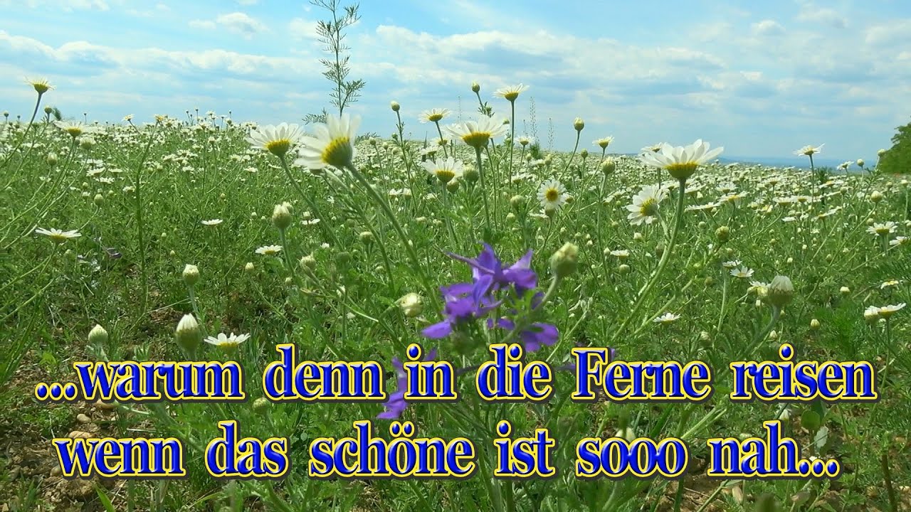 Die schönste Region im Weinviertel