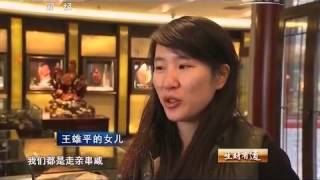 20150220 生财有道 寻宝路——石痴和他的鸡血石