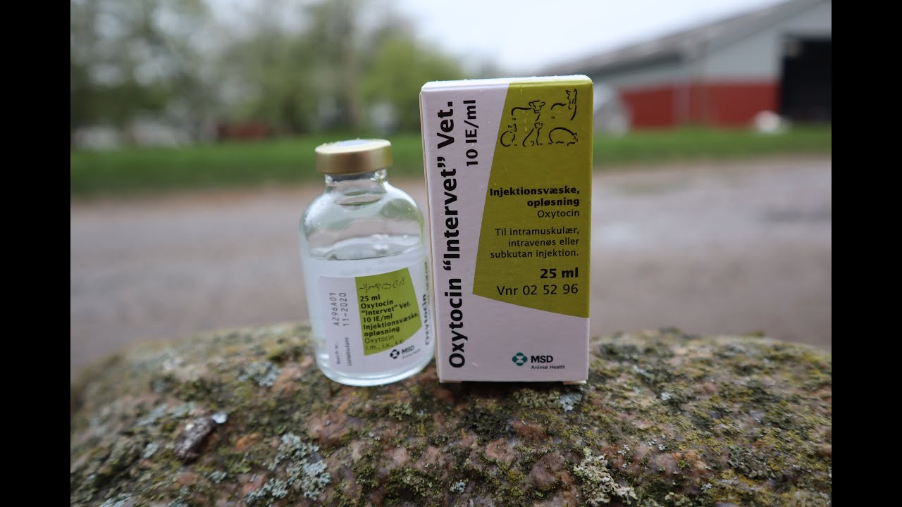 OXYTOCIN WHAT IS THAT? / ОКСИТОЦИН ЧТО ЭТО ТАКОЕ?