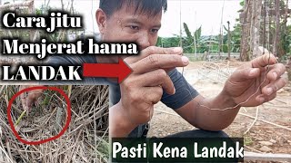 Cara Membuat Jerat Landak Jitu ,Menggunakan Tali Seling