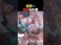 世界一危険な海の仕事【雑学】