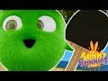 Cartoons For Children Sunny Bunnies THE SUNNY BUNNIES PING PONG Funny Cartoons For Children 