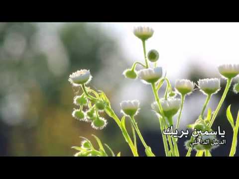 الدليل الداخلي 