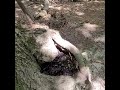 Ludington State Park - walk on the trails..