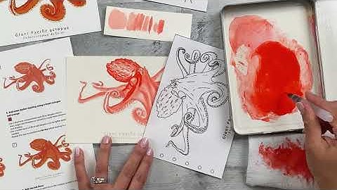 Speed Painting: Giant Pacific octopus