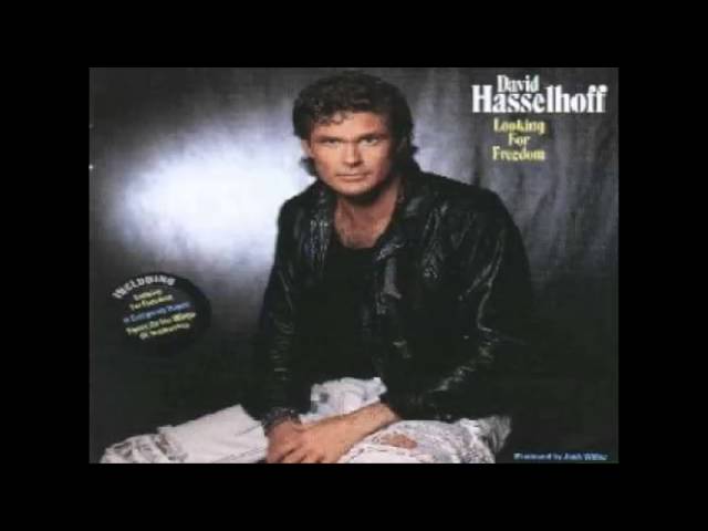 David Hasselhoff - Lady