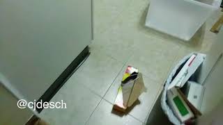 Unboxing of Boxes - EcoBox Medium Moving Boxes Economy Size 18" x 14" x 12" Pack of 20 (V-11618)