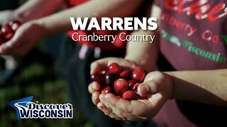 A Wisconsin Tradition — Warrens Cranberry Festival