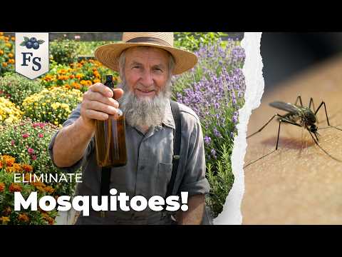 STOP Swatting Mosquitoes: 17 Amish Tricks That Actually WORK