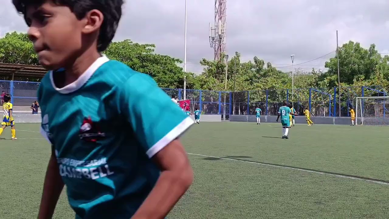 Parque muvdi, Cachorros.. 