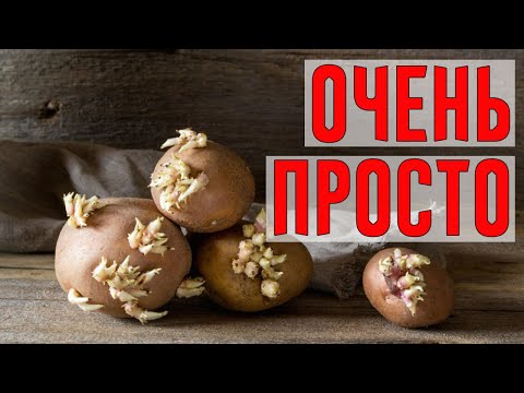 Узнала Маленькую Хитрость, Чтобы Картофель Не Прорастал!