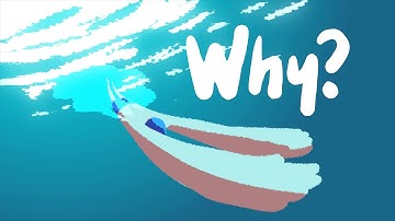 Why Add Smears To Your Animations?