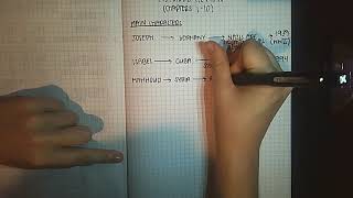 Refugee Review Notes