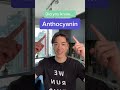 あなたの体に最適な成分は、あなたの#腸の健康を助ける#アントシアニン だということをご存知ですか。